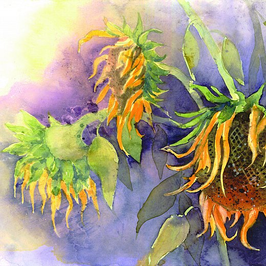 Sonnenblumen