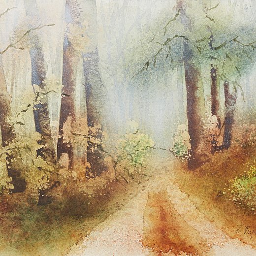 Wald beim Weißen Hof