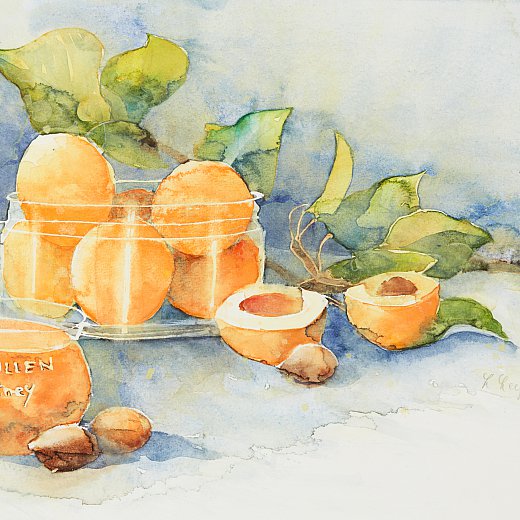 Marillenchutney