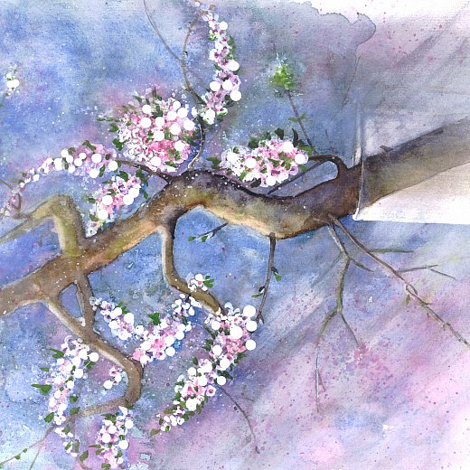 Pfirsichblüten