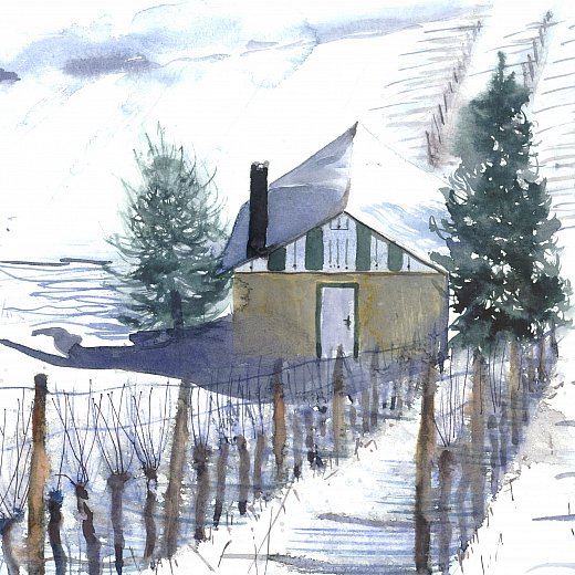 Winzerhaus in Weidling