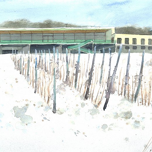 Kerbl am Weinberg