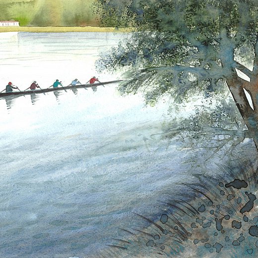 Ruderboot auf der Donau