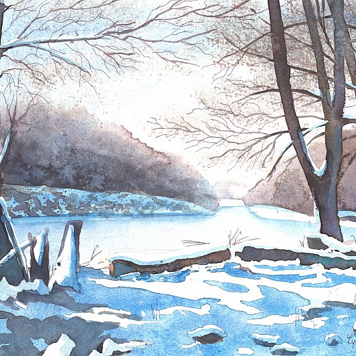 Winter in der Au