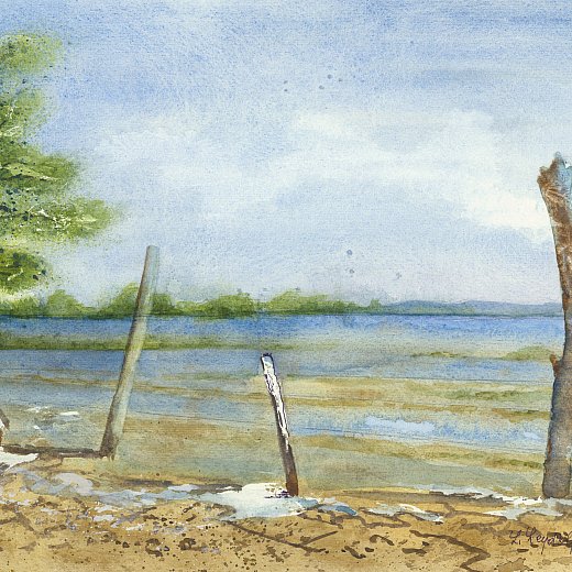 Canale Quarantia, Fiume Isonzo